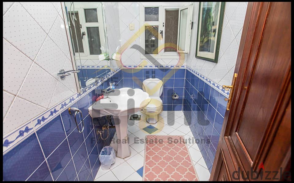 Apartment For Sale 250 m Louran ( Abd El-Salam Aref St. ) 12