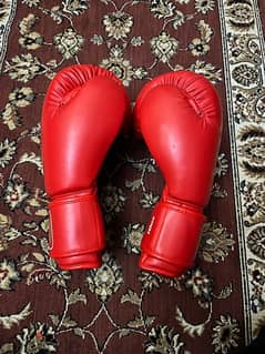 Boxing gloves