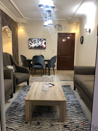 شقة مفروشة للايجار روضة زايد الشيخ زايد Apartment Fully Furnished