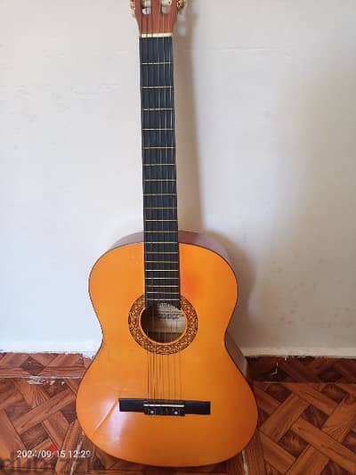 Guitar