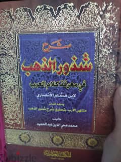 شرح شذور الذهب في علم النحو - ابن هشام الأنصاري