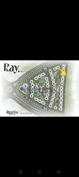 ray