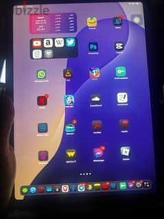 ipad pro 11 inch 0