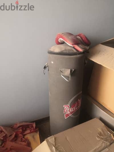 Brand new Punching Bag and Boxing gloves