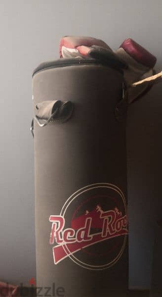 Brand new Punching Bag and Boxing gloves 5