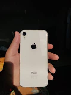 iPhone xr