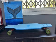 لوح تزحلق بعجل /penny skate board 0