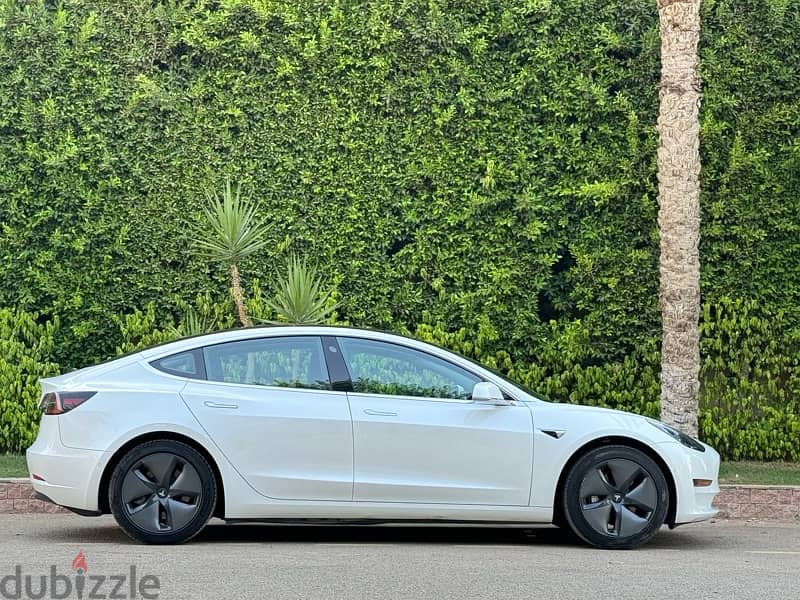 Tesla Model 3 2019 0