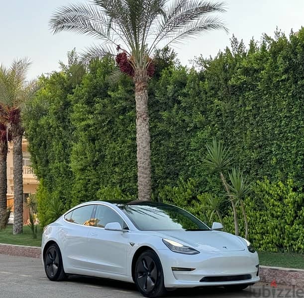 Tesla Model 3 2019 2