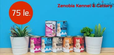 Cats Wet Food - ويت فود للقطط 0