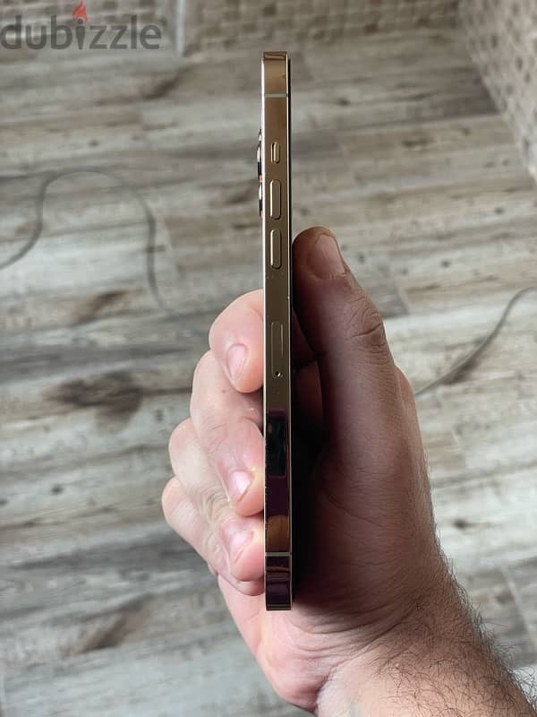 iPhone 12 Pro Max خطين 3