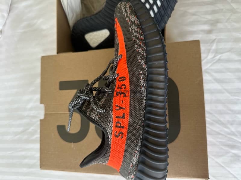 Brand new in box sneakers adidas Yeezy carbon beluga size 37 1/3 3