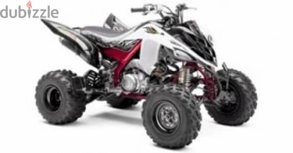 YAMAHA RAPTOR