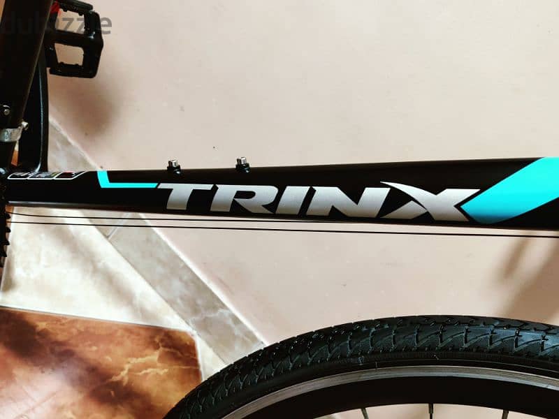 Trinx Free 2.4 2