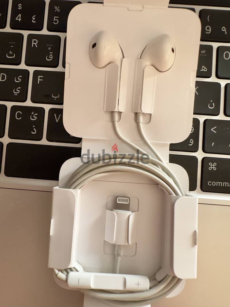 Apple EarPods with Lightning Connector from iPhone XR 2