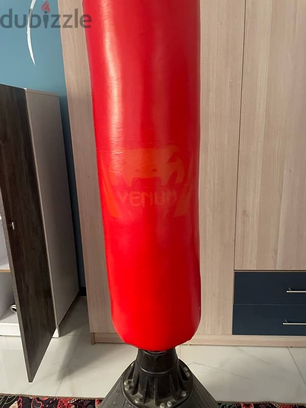 punching bag 2