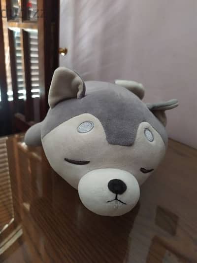 MINISO Inu Teddy (Teddy bear)