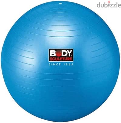 Body Sculpture
fitness gym ball 65 , New