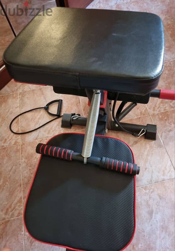 Ufit Multifunction Sit Up Bench with Dumbbells Set 2