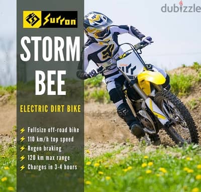 surron storm bee 2024