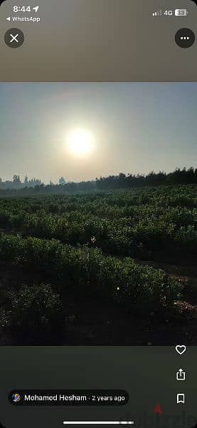 خمسه فدان للبيع في جمعيه البحوث الزراعيه بطريق مصر اسكندريه الصحراوي 2