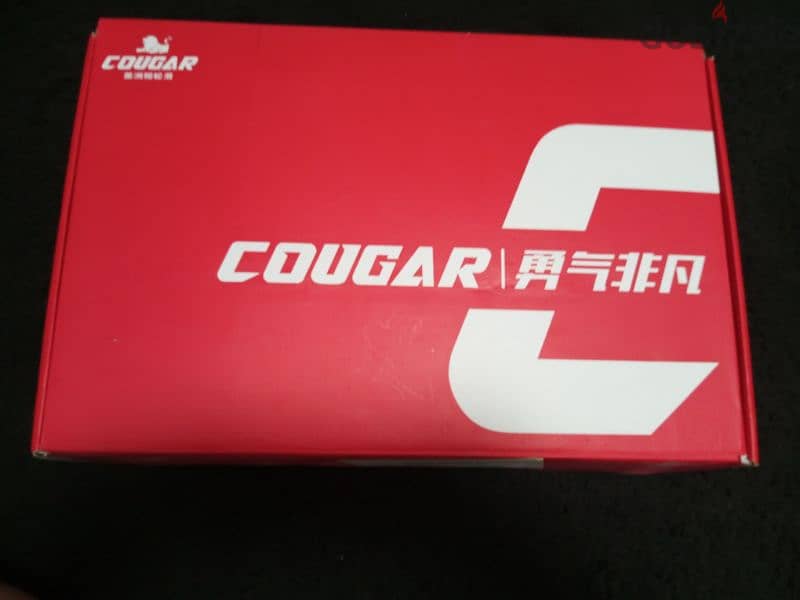 skate cougar 307 5