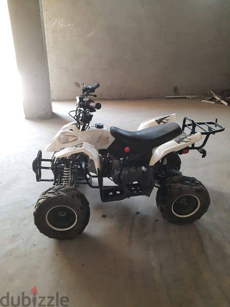 Beach Buggy 110cc بيتش باجي ١١٠سس لم يستخدم من قبل 1