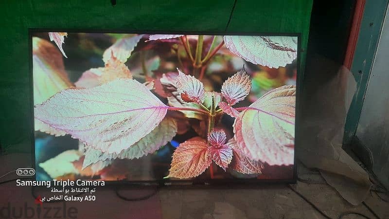 tv ATA 43 FHD LED 4