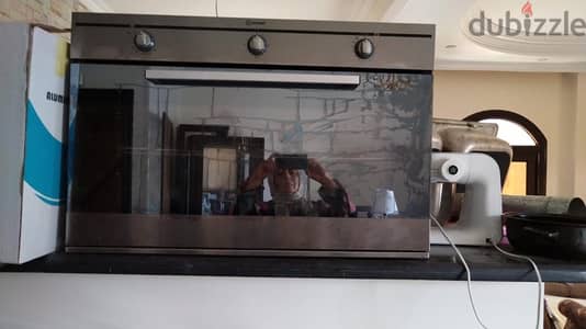 indest oven built in