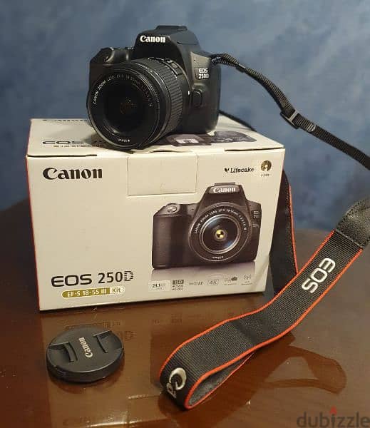 Canon 250D with accessories 1