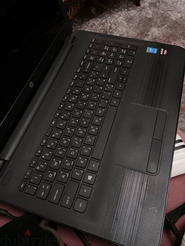 Hp-Hq-Tre 71025 2