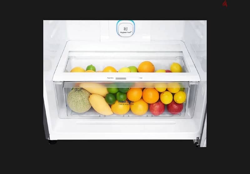 lg 516 liters no frost refrigerator 4