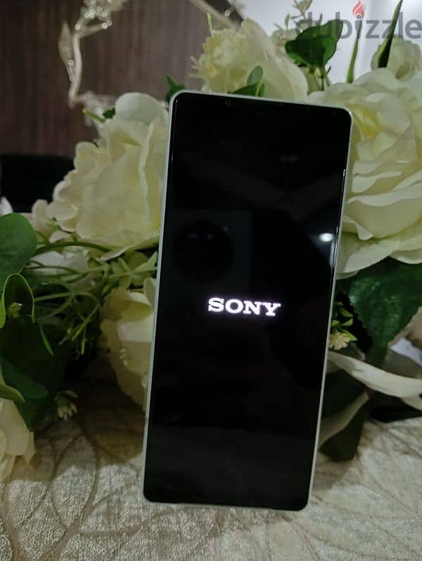 Sony العملاق 6