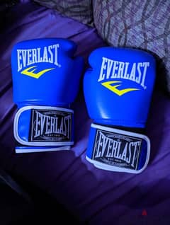 جلوفز كيك بوكس Everlast جديد 0