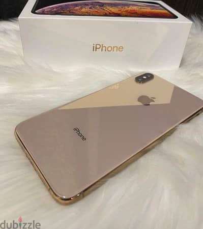 xs max 256