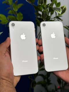 بضمان وفاتوره مبايعه ‎ iPhone XR 64G “  ‎بطارية 93%