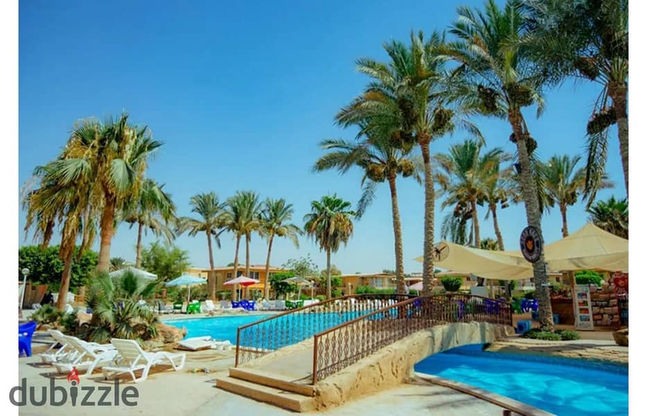 Chalet-Mini Egypt-Sokhna is a premium location. 21