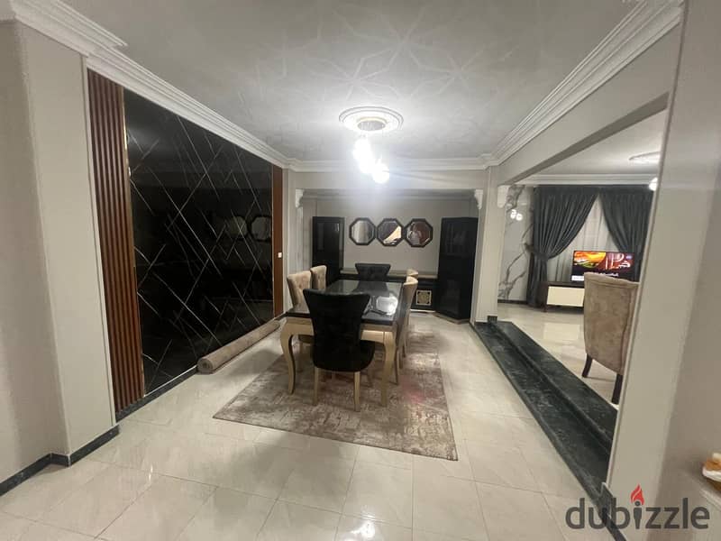 Furnished apartment for rent in nasr city in the first district is fully air conditioned 1