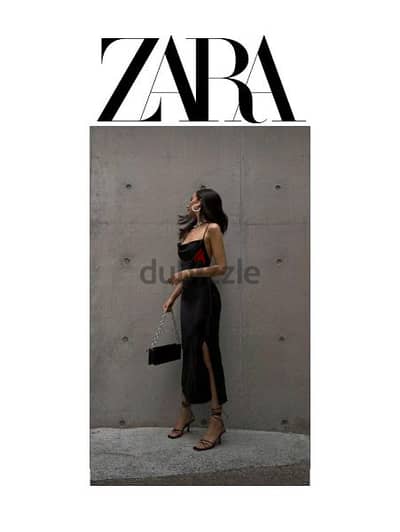 Zara dress