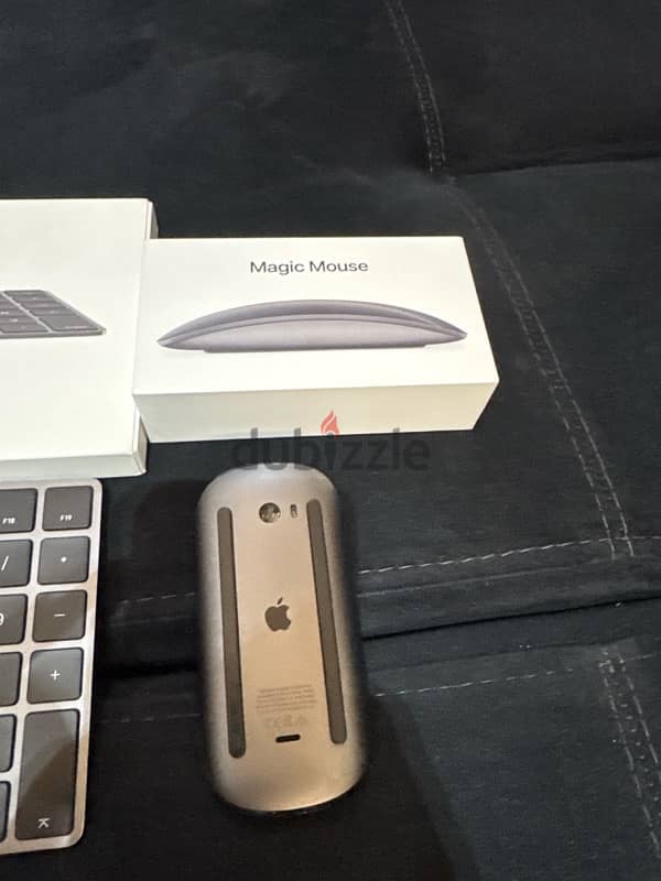 Magic Mouse 2 and Magic Keyboard with Numeric Keypad 1