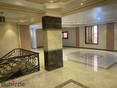 duplex in sheikh zayed district 7