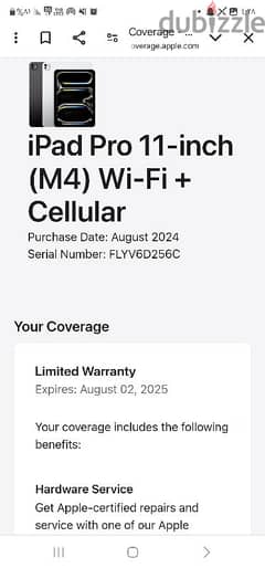 ipad pro m4 11 inch 256 wifi +cellular esim 0