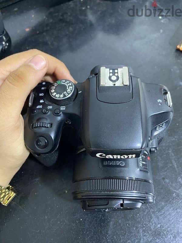 canon d 800 5