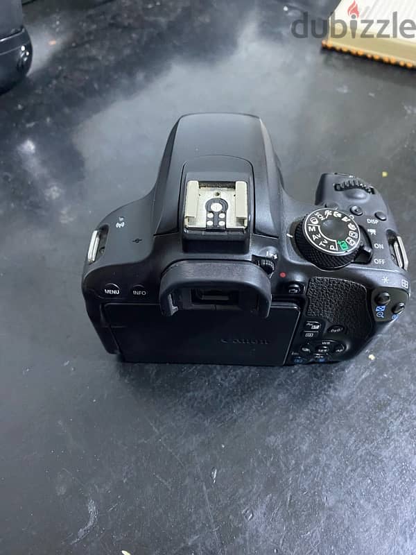 canon d 800 6