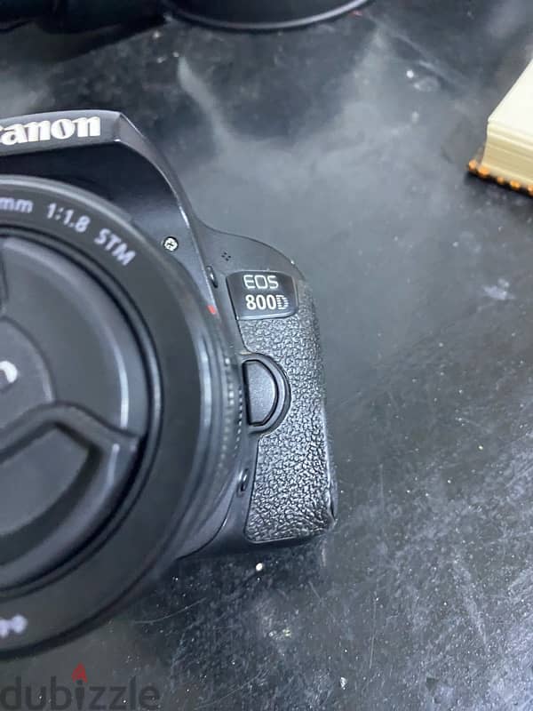 canon d 800 8