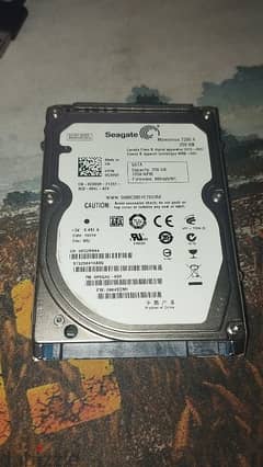 seagate 250gb hard disk