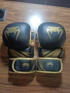 professional mma gloves 0