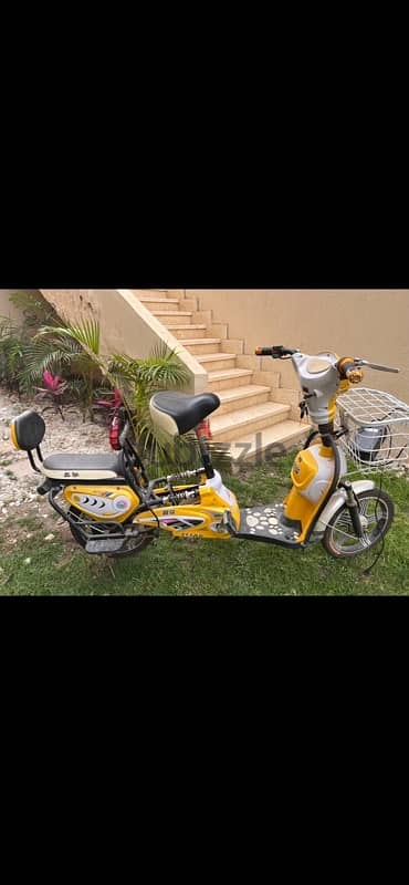 electric bicycle 1