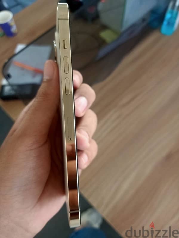 iphone 12 pro max gold 256 1