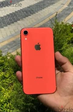 iPhone XR